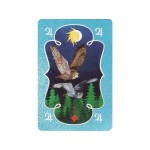 Astral Lenormand (caixinha com 41 Cartas + Livreto)