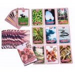 Sublime Lenormand, Com 36 Cartas + Livreto