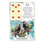 Classique Lenormand