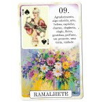 Classique Lenormand