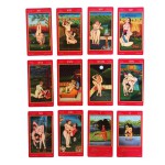 Tarô do Kama Sutra (Livro + 78 Cartas + Caixinha)