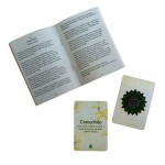 Oráculo As Fases da Deusa: Conselhos dos Devas da Natureza para vencer no jogo da vida (Livro + 32 Cartas)