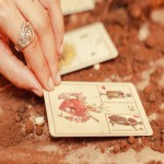 Nosotras Lenormand O jogo da esperança Baralho Tarô cigano deck com 36 cartas e livreto