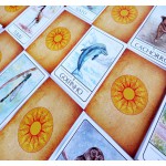 Tarot dos Animais Sul-americanos (Livro + 48 Cartas)