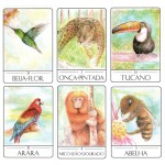 Tarot dos Animais Sul-americanos (Livro + 48 Cartas)