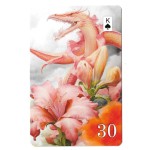 Dracos Lenormand