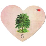 Lenamour Lenormand – Baralho Tarô Cigano formato coração deck com 36 cartas